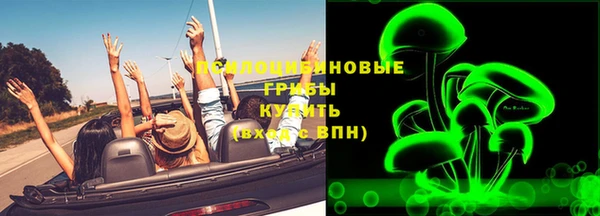 эйфоретик Алзамай