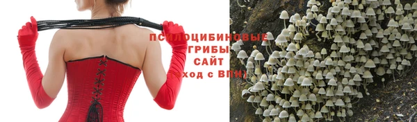 мяу мяу кристалл Алексин