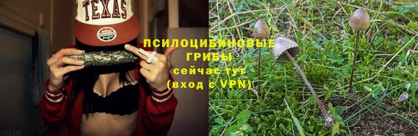 эйфоретик Алзамай